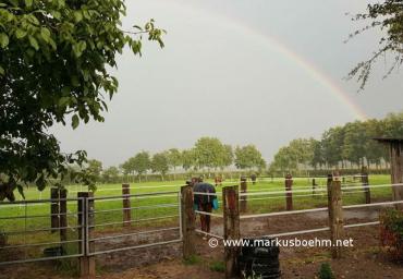 Fotos Happy Liberty Ranch (14) (Copy)