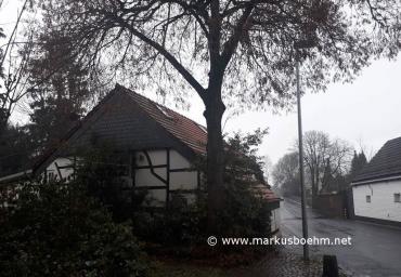 20171208_144824 (Copy)