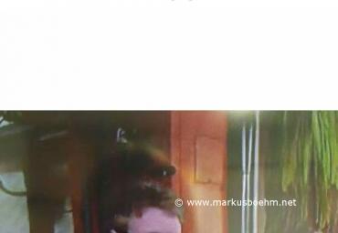 IMG_20170505_145605_668