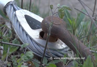 ? Impressionen aus Bonn ? 