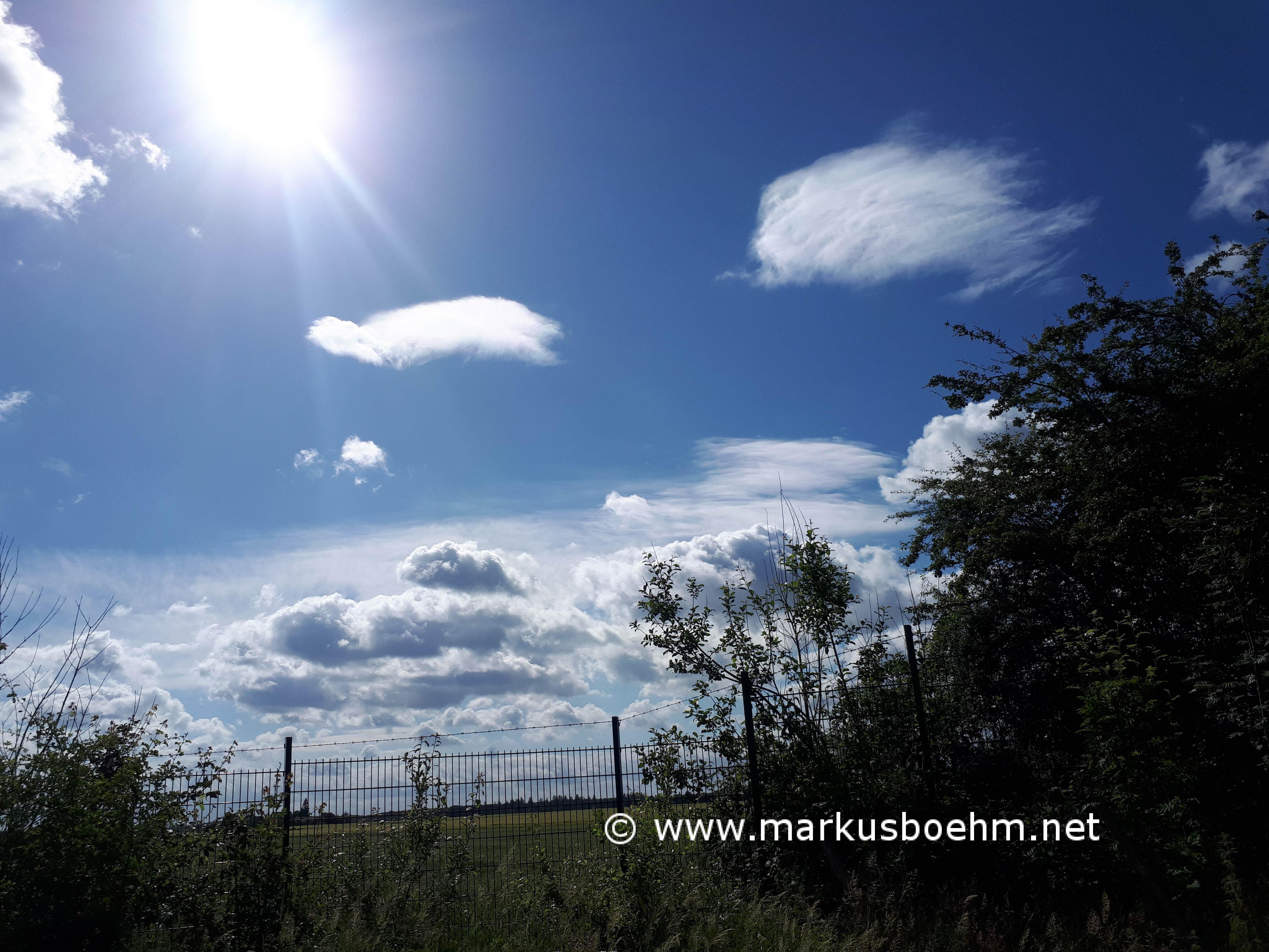 20190608_094503 (Copy)