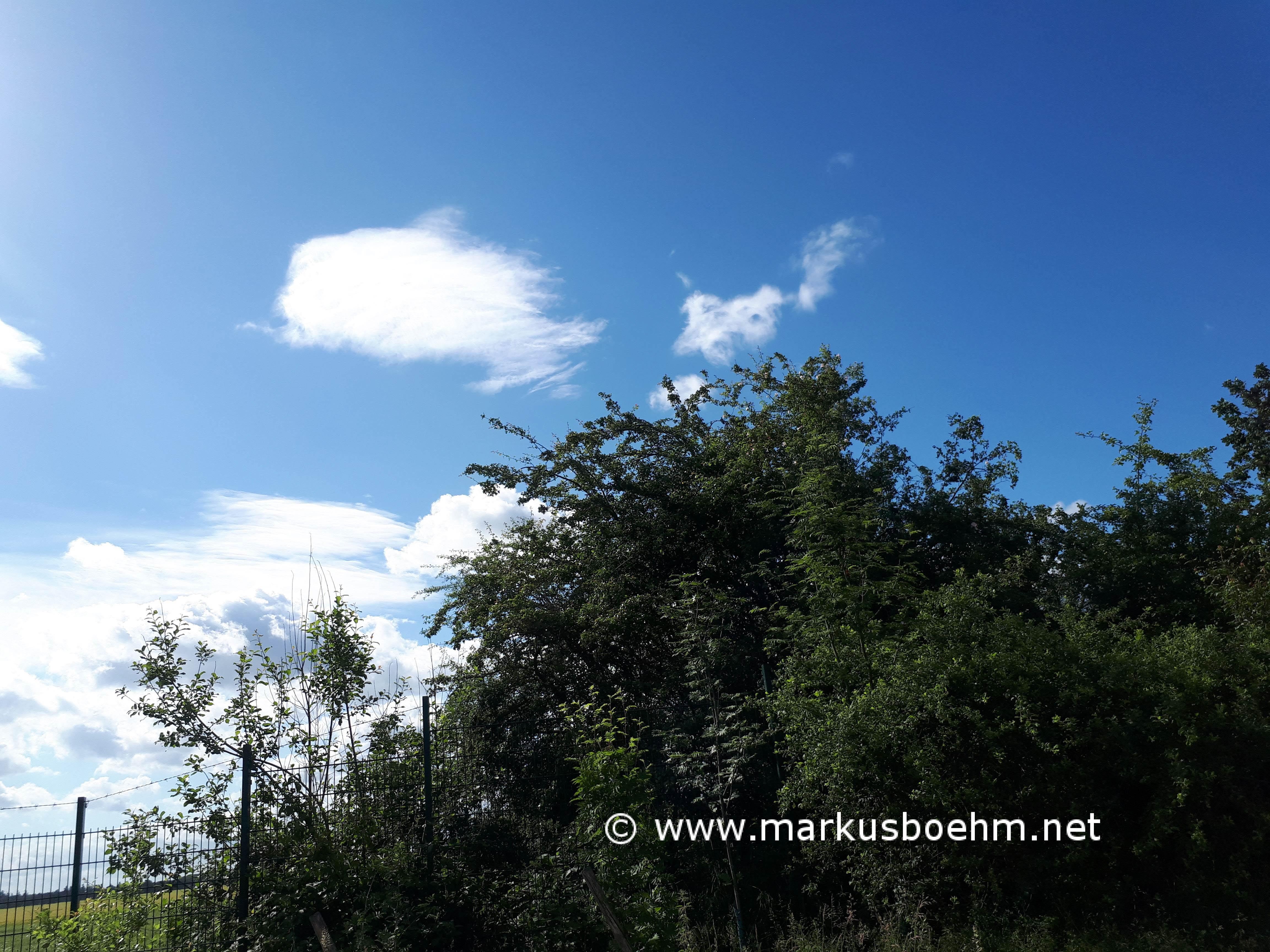 20190608_094506 (Copy)