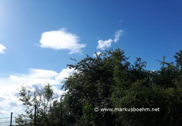 20190608_094506 (Copy)