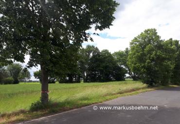 20190608_145226 (Copy)