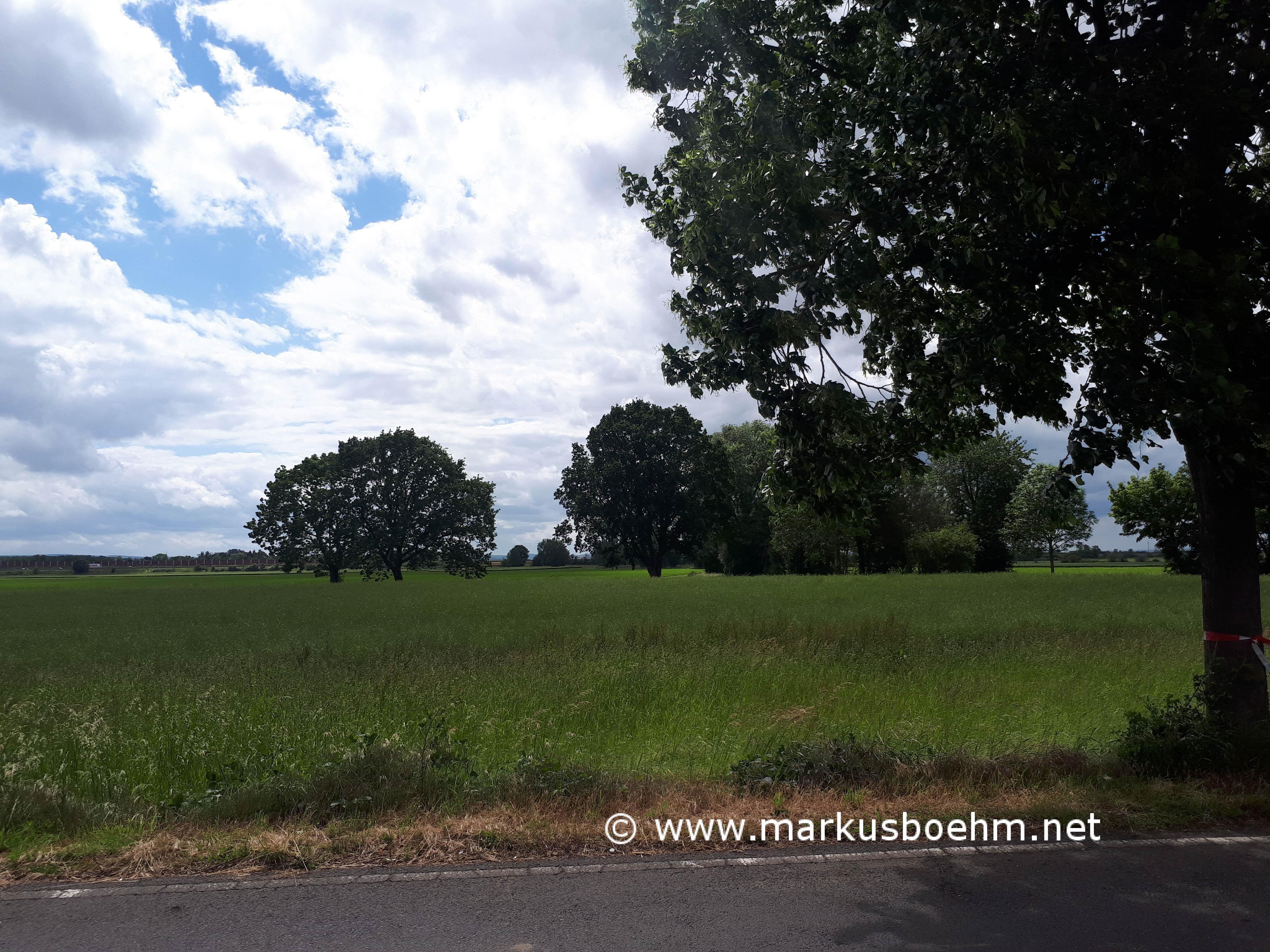 20190608_145228 (Copy)