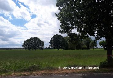 20190608_145228 (Copy)