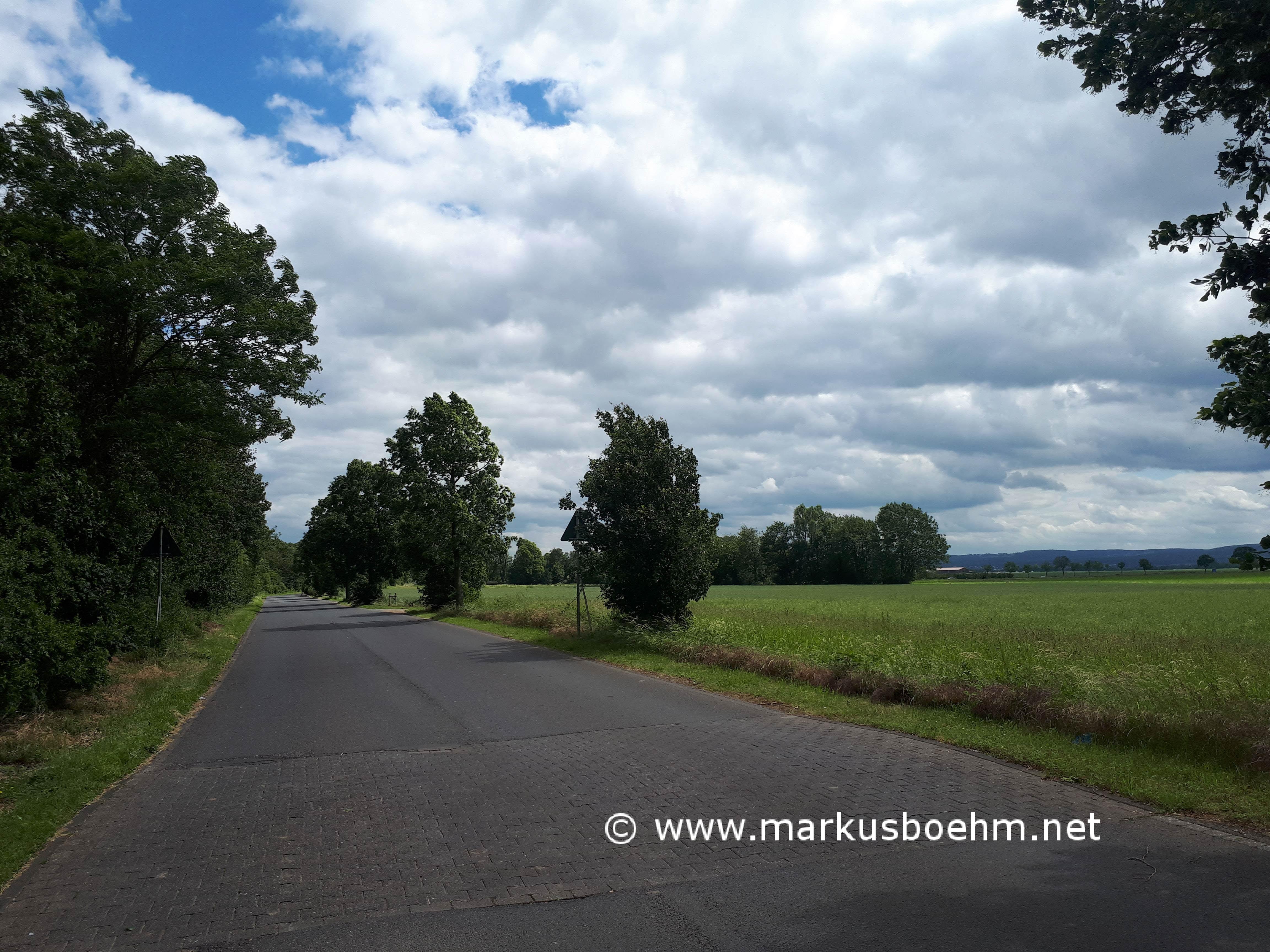 20190608_145311 (Copy)