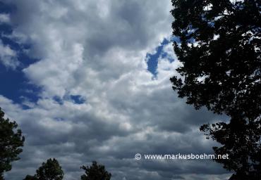 20190608_145313 (Copy)